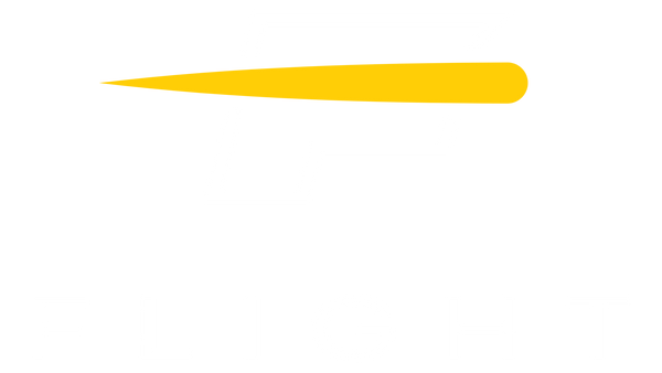 Flight